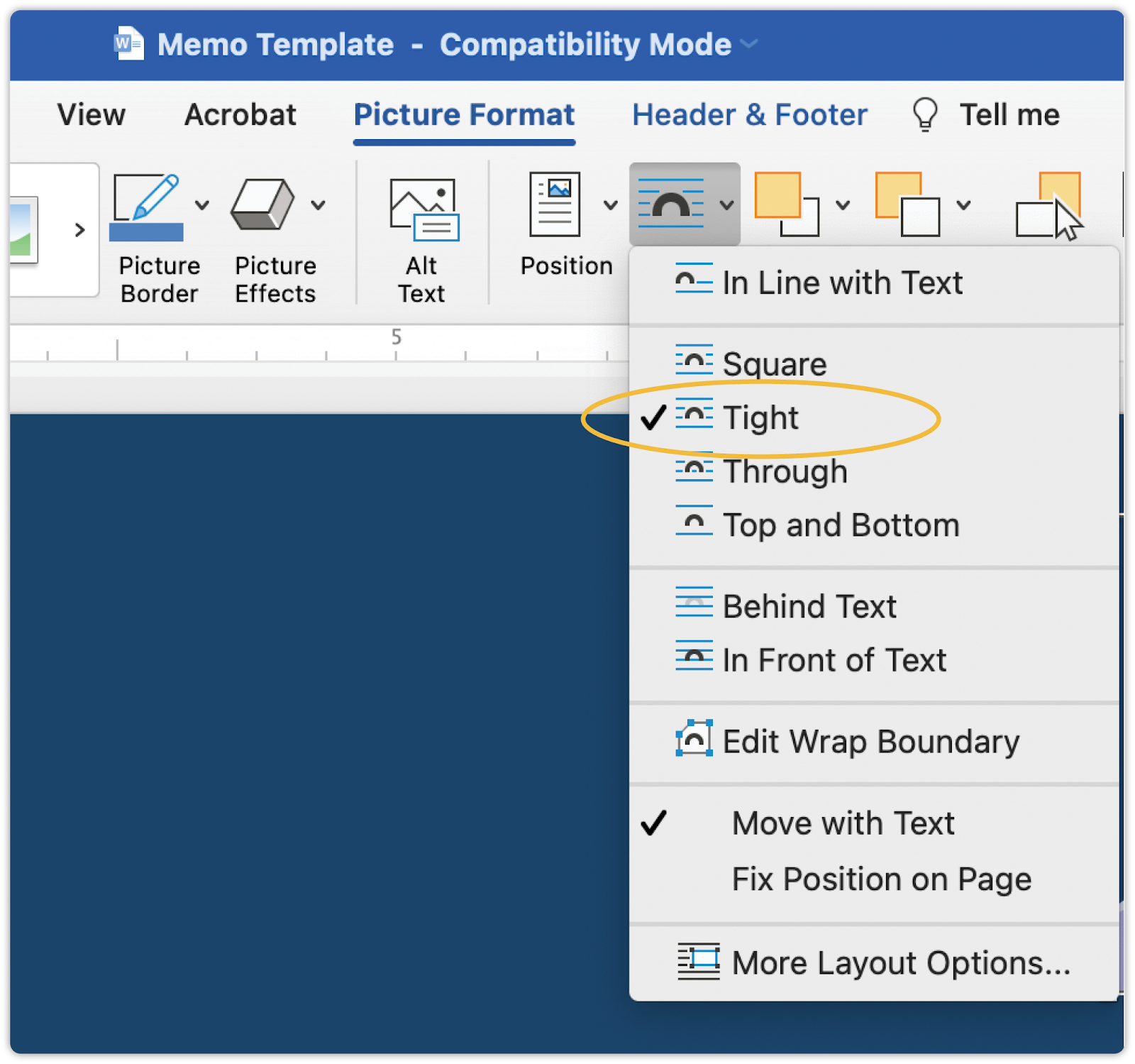 Picture format menu in Word
